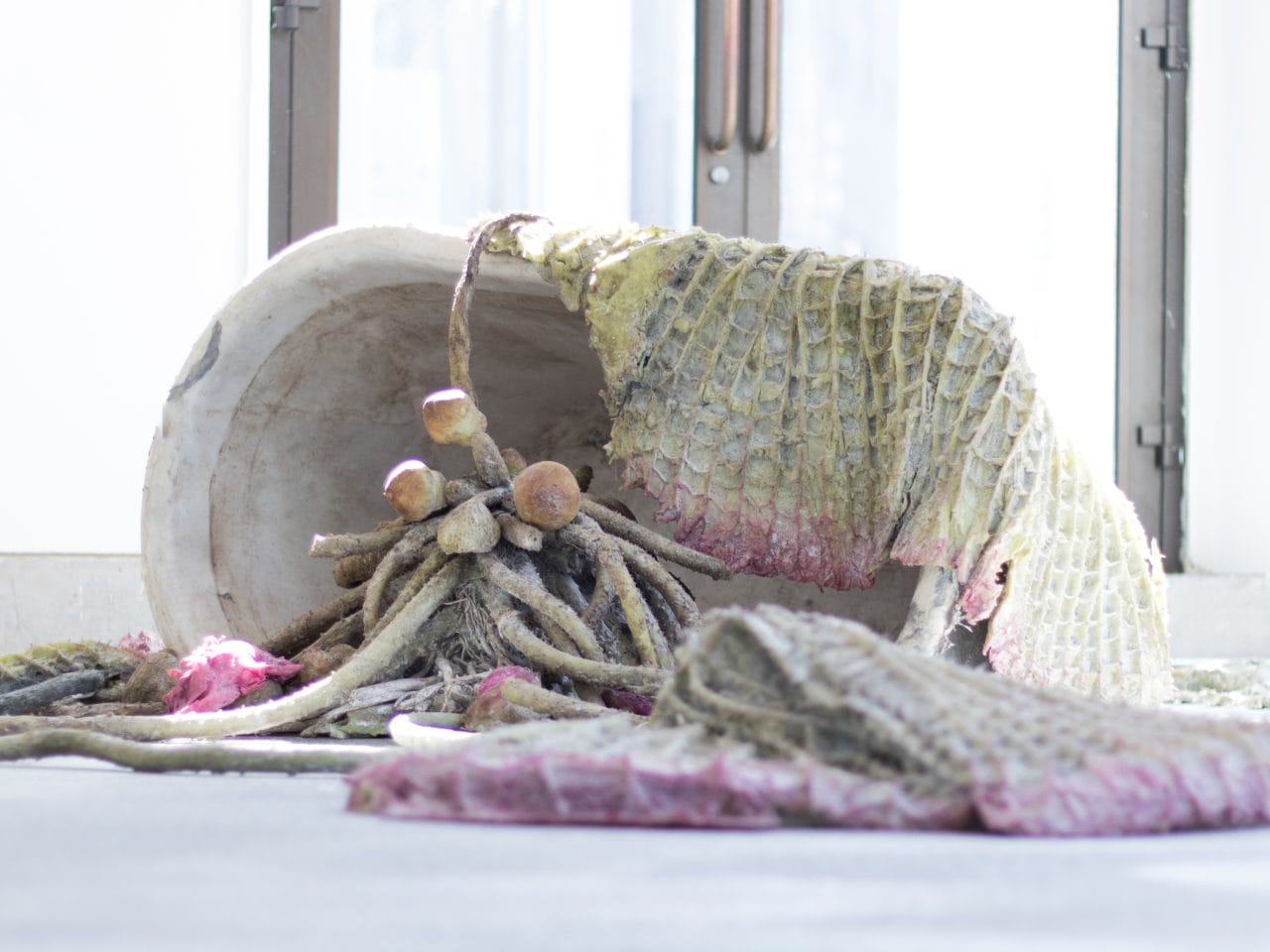 A silicone floor sculpture that takes the form of an assemblage of plants, the pieces retain the original colours of the plants they were cast in.