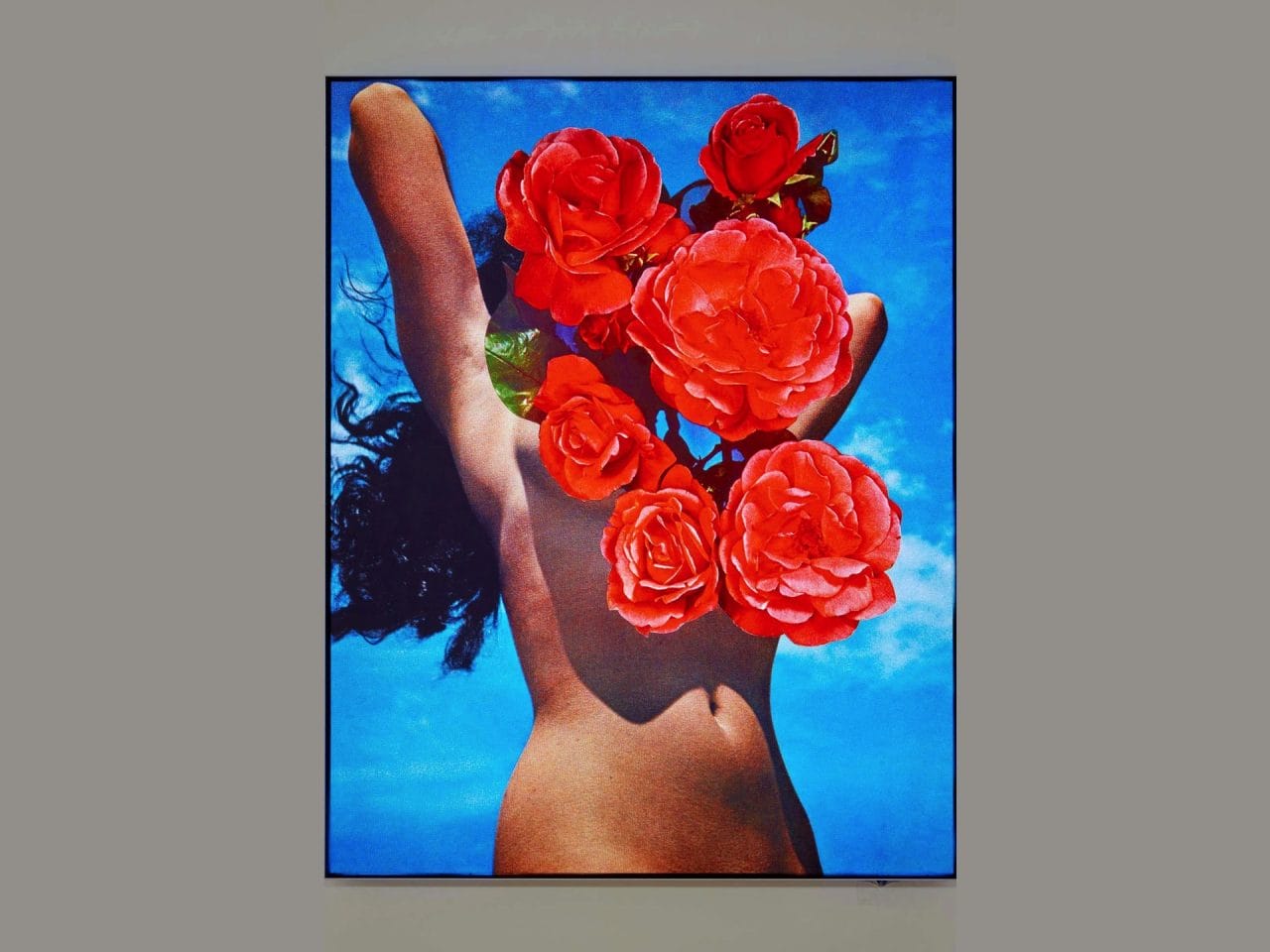 A collage of a bright red flowers overlaying a persons face and top half of their body, only showing is their stomach.