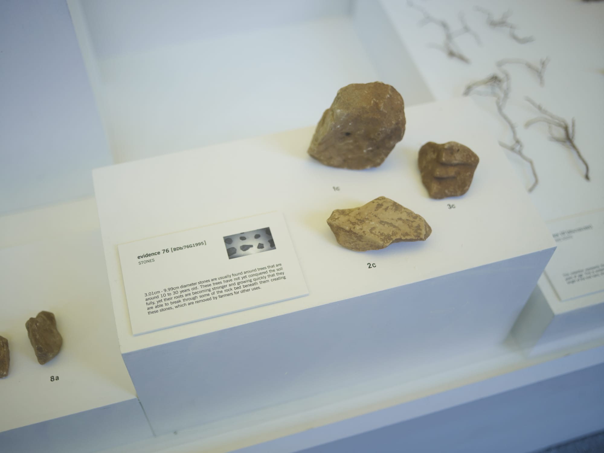 Khalil Rabah - Liverpool Biennial