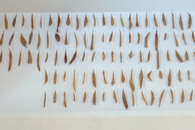 Khalil Rabah - Liverpool Biennial