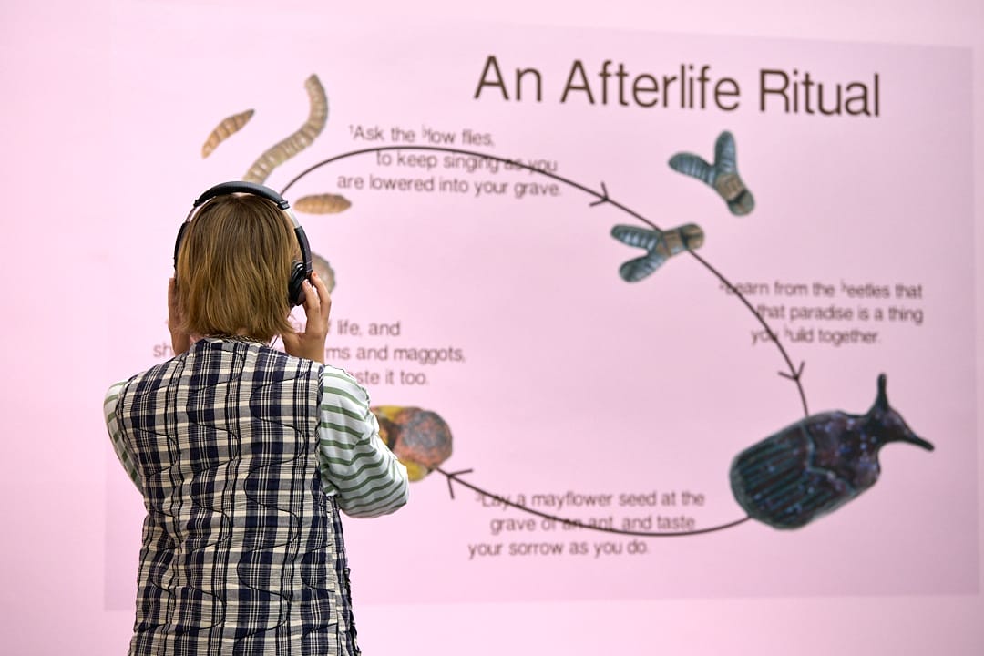 Someone standing light pink wall with vinyl of a diagram of objects in a circle with a large title, 'An Afterlife Ritual'.